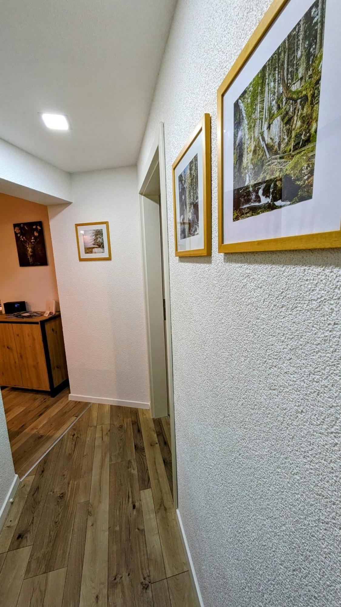Ferienwohnung Albbruck/Albert Zewnętrze zdjęcie